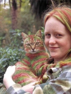 Herschaalde kopie van poes21
