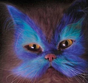 poes4
