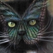 poes6