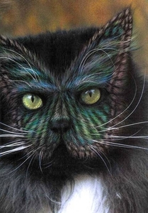 poes6