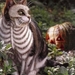 Herschaalde kopie van poes9