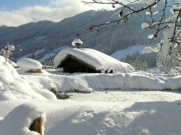 Herschaalde kopie van la16