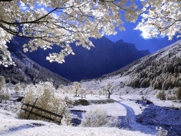 Herschaalde kopie van la22