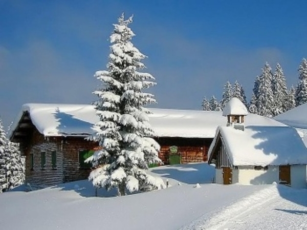 Herschaalde kopie van la23