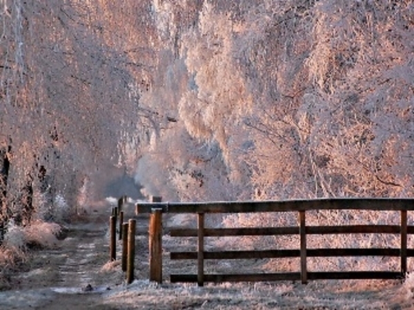 Herschaalde kopie van la24