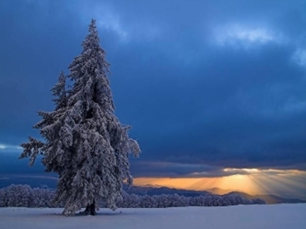 Herschaalde kopie van la25