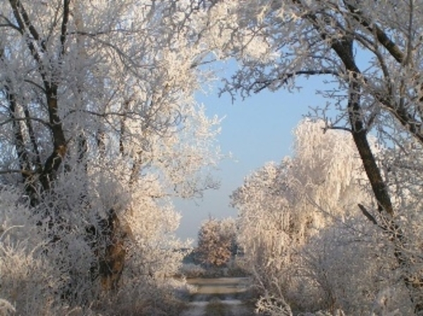 Herschaalde kopie van la5