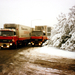 Ook in de sneeuw rijden de mannen van Storteboom