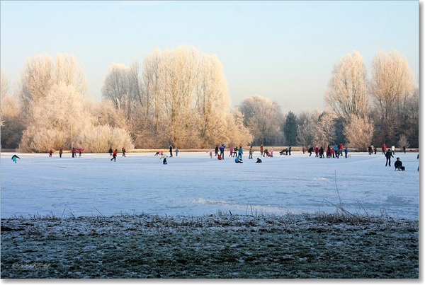 sized_Afbeelding 113