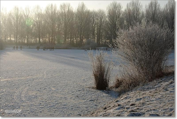 sized_Afbeelding 146