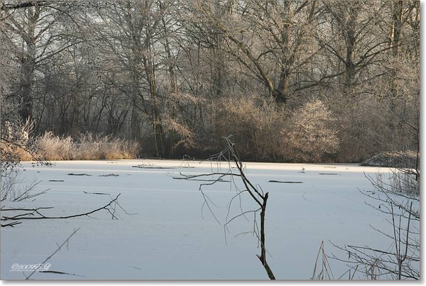 sized_Afbeelding 177