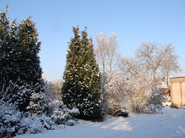 DSC05103 - Winterlandschap in Imde