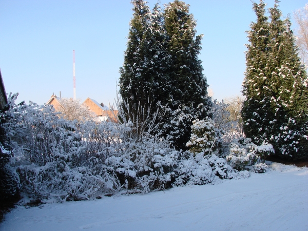 DSC05104 Winterlandschap in Imde