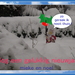 kerstkabouter2