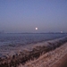 DSC00040
