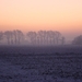 DSC00059