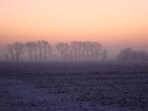 DSC00059