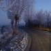 DSC00060