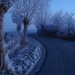 DSC00061
