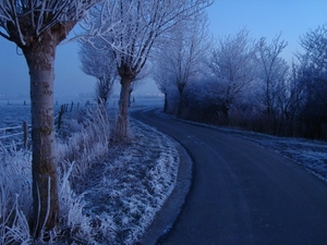 DSC00061