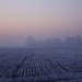 DSC00062