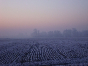 DSC00062