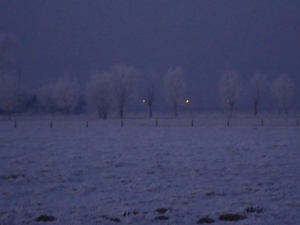 DSC00064