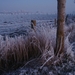 DSC00065