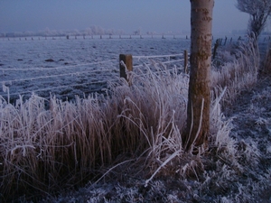 DSC00065