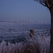 DSC00066
