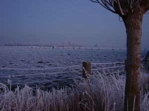 DSC00066