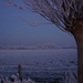 DSC00067