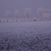DSC00068