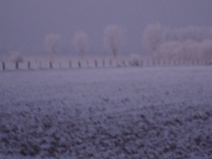 DSC00068