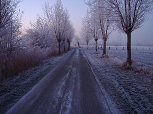 DSC00069