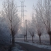 DSC00071