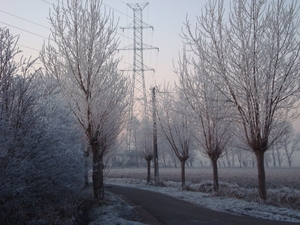 DSC00071