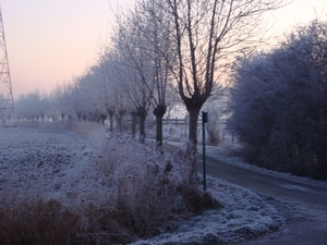 DSC00073
