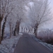 DSC00075