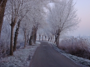 DSC00075