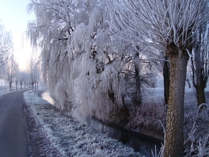 DSC00078