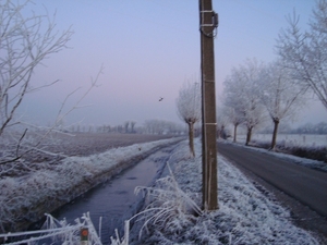 DSC00080