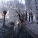DSC00081