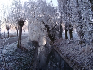 DSC00081