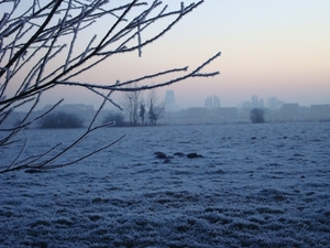 DSC00085