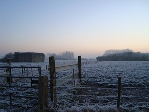 DSC00095