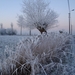 DSC00096