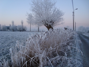DSC00096