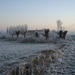 DSC00097