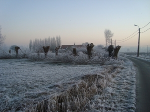 DSC00097